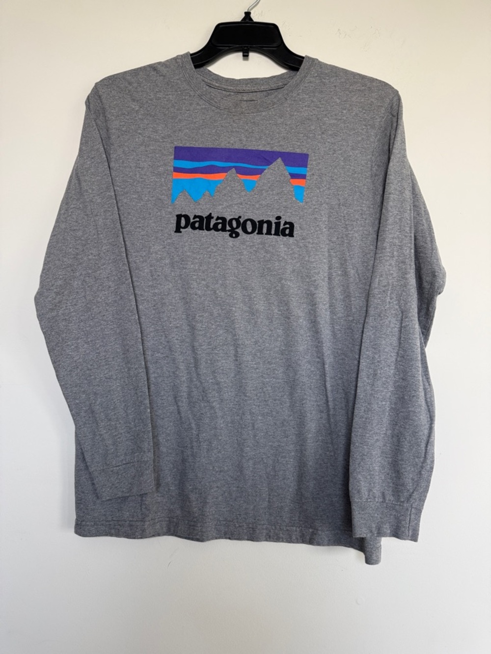 Patagonia Gray Long Sleeve Tee with Multicolor Mountain Logo